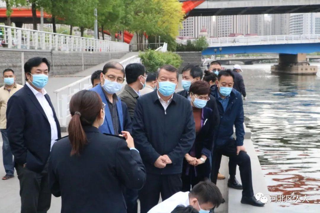 河北環保局最新動態，推動環保行動，共建綠色家園