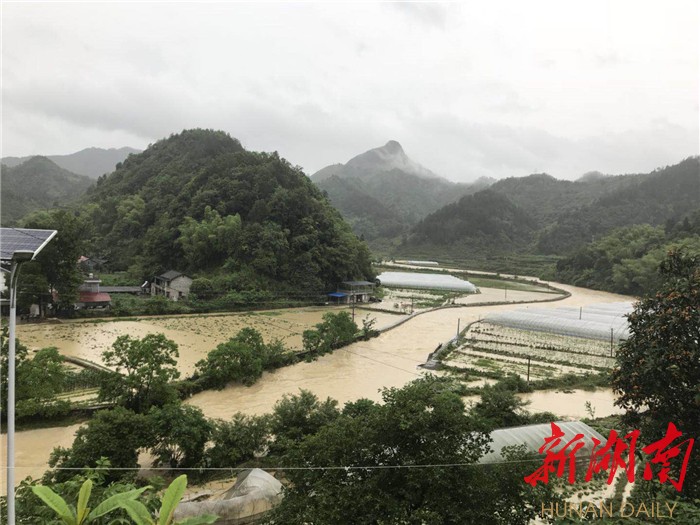 零溪鎮(zhèn)最新天氣預(yù)報匯總