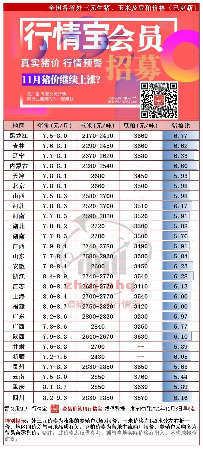 今日豬價最新價格及分析概覽