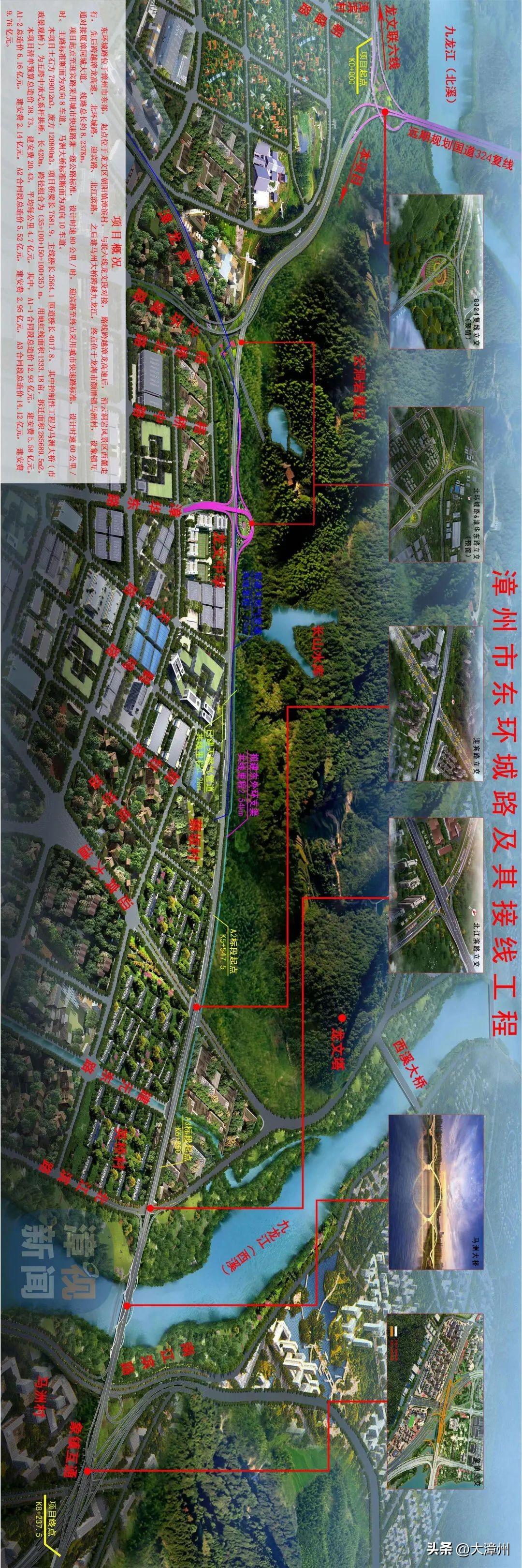 廈漳泉區域協同發展的最新動態，強勁勢頭與未來展望