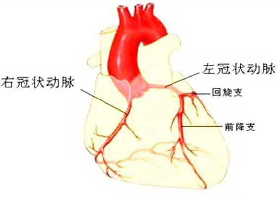 全球冠狀病毒最新動(dòng)態(tài)，疫情進(jìn)展與防控策略調(diào)整最新消息