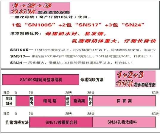 2024新澳門今晚開特馬直播,傳統解答解釋落實_BT17.250