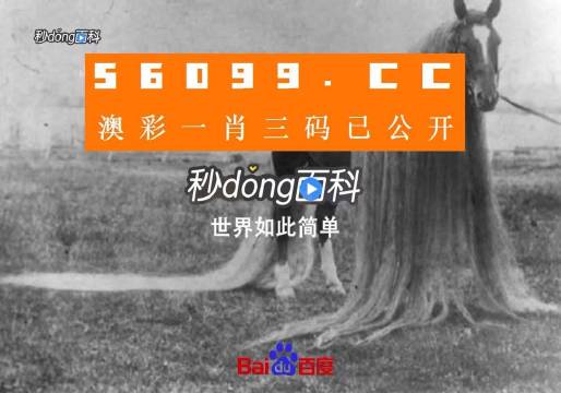 一肖一碼一必中一肖,前沿評估解析_游戲版52.105