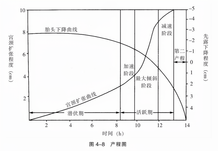 最新產程進展及其影響分析