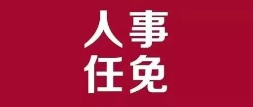 青州市審計局人事大調整，重塑地方審計事業，推動新發展