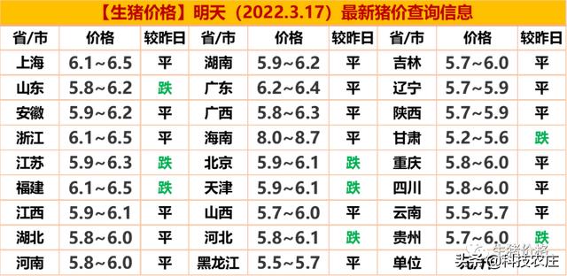 最新豬價動態分析與趨勢預測